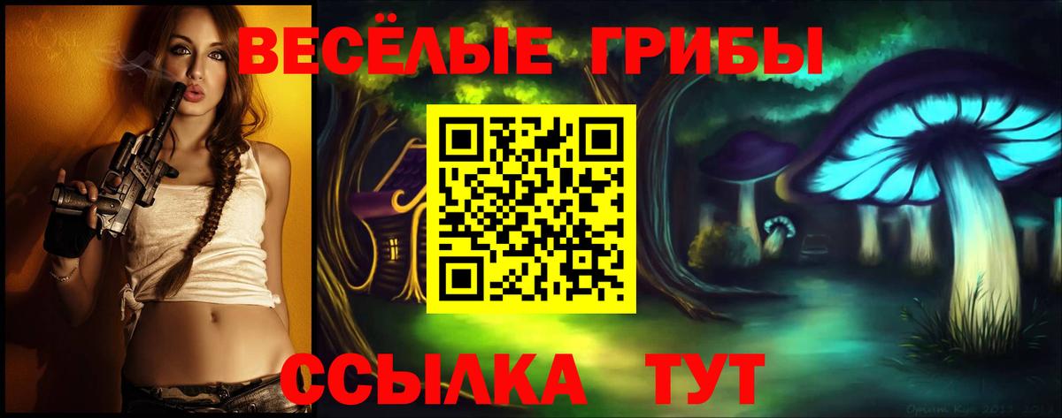 Галлюциногенные грибы GOLDEN TEACHER  Вход с VPN  Берёзовский 